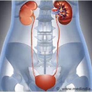 Causes Of Bladder Inflammation Diagrams - Natural Cures For UTI - Secret Remedies My Nurse Told Me